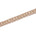 3 4 Inch Ornamental Sequined Metallic Cording With Embroidery On Mesh Trim SV581507 Beige A2