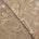 Corded Floral Embroidery On Georgette Fabric SV581636 Tan 1