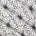 Daisy Floral Corded Lace Fabric SV581005 Black 1