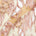 Floral Rhinestone Embroidery With Patches On Sparkled Tulle Fabric SV576131 Gold 1