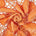 Clouded Velvet Mesh Lace Fabric SV580931 Orange 1
