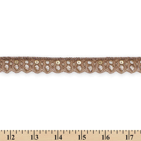 3 4 Inch Ornamental Sequined Metallic Cording With Embroidery On Mesh Trim SV581508 Brown A9