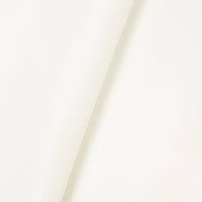 Matte Satin (Peau de Soie) Fabric SV574470 Off White Image A5