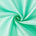 Extra Wide Nylon Taffeta 110 Inch Fabric SV574660 Aqua Blue A2