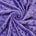Minky Dot Fabric SV577191 Purple 1