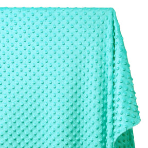 Minky Dot Fabric SV577197 Aqua 2