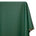 Ottertex Indoor/Outdoor Stretch Vegan Leather Vinyl Fabric SV579565 Forest Green Image A1