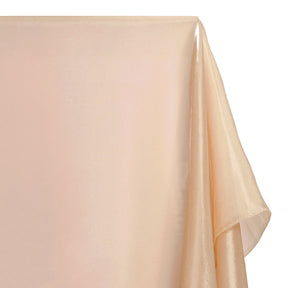Polyester Satin Face Liquid Organza Fabric SV580221 Champagne 2
