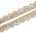 Vine Sequined Metallic Corded Scalloped Mesh Trim SV580394 Gold A1