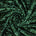 Fish Scale Sequins On Dty Knit Jersey Fabric SV580670 Hunter Green 1