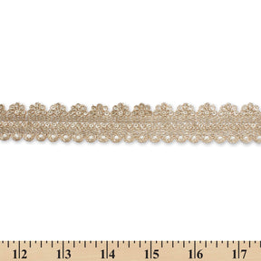1 Inch Floral Striped Corded Sequin Mesh Trim SV581362 Antique Champagne A9