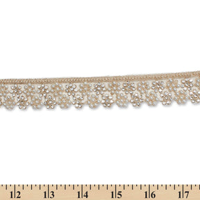 1 25 Inch Floral Beaded Rhinestone Corded Mesh Trim SV581387 Champagne A9