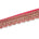 2 Inch Regal Gold Metallic Sequined Cording On Plain Woven Trim SV581410 Fuchsia A2
