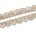 Vine Sequined Metallic Corded Scalloped Mesh Trim SV581437 Champagne A1