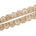 Vine Sequined Metallic Corded Scalloped Mesh Trim SV581438 Antique Gold A1