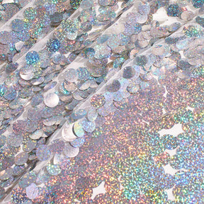 Paillette Circle Sequins On Mesh Fabric SV582261 Holographic Silver Image A4