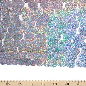 Paillette Circle Sequins On Mesh Fabric SV582261 Holographic Silver Image A9