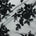 Dahlia Beaded Bridal Lace Fabric SV582024 Black 1