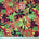 Ottertex Waterproof Canvas Tropical Print Fabric SV570293 Orange Image A9
