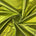 Metallic Stretch Foil Lame On Interlock Knit Fabric SV577228 Olive Green 1