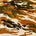 Tiger Camo Print Cotton Fabric SV576968 Brown 1