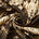 Snakeskin Crepe De Chine Print Fabric SV575597 Beige 1
