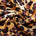 Leopard Crepe De Chine Print Fabric SV578423 Savanna 1