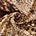 Wildcat Crepe De Chine Print Fabric SV578442 Savanna 1