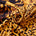 Wildcat Crepe De Chine Print Fabric SV578443 Desert 1
