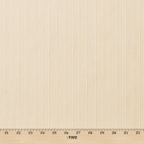 Bayzam Striped Sheer Mesh Dobby Fabric SV578504 Champagne 3