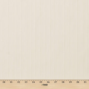 Bayzam Striped Sheer Mesh Dobby Fabric SV578505 Ivory 3